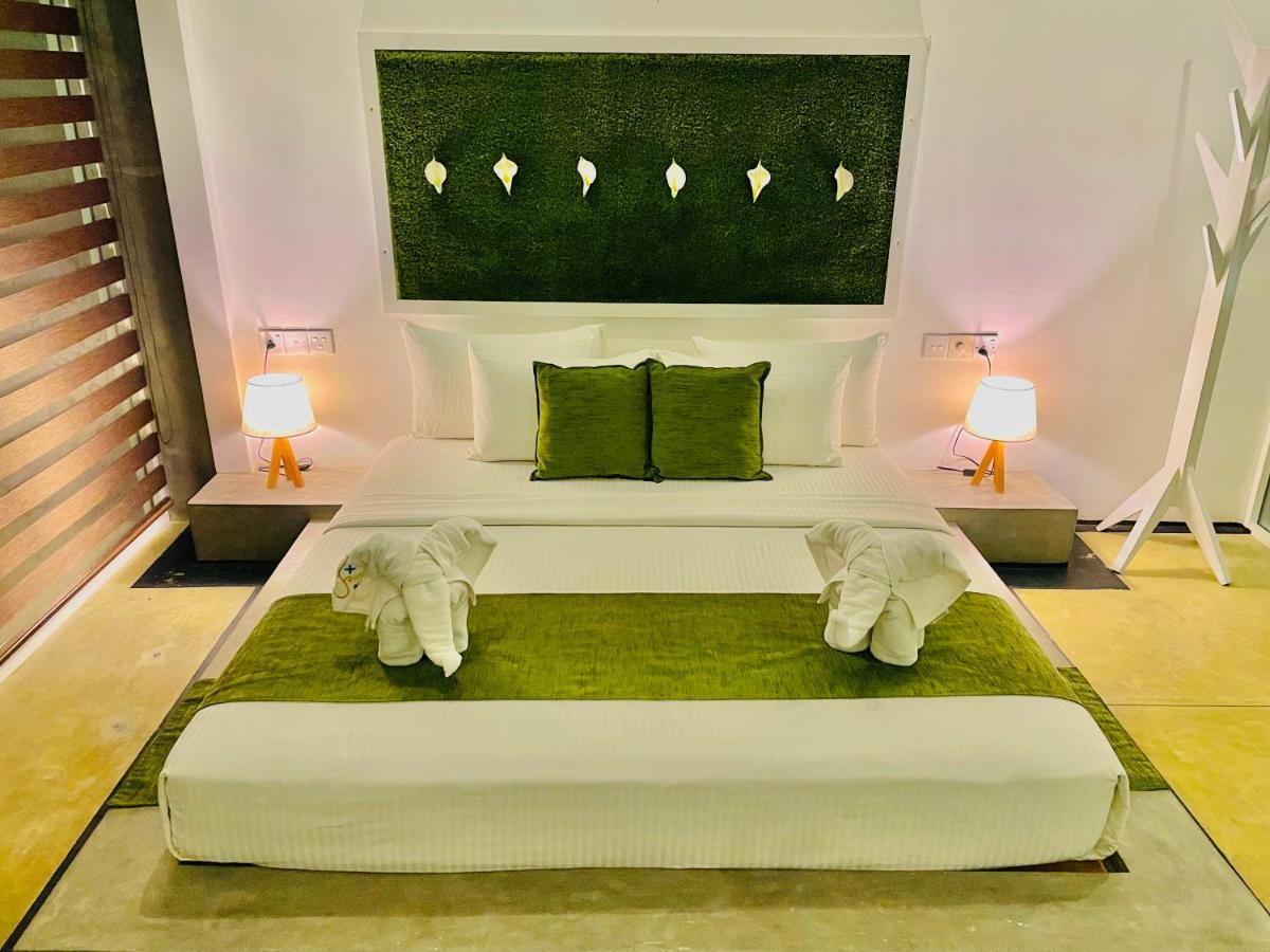 8 Plus Motels Negombo Extérieur photo